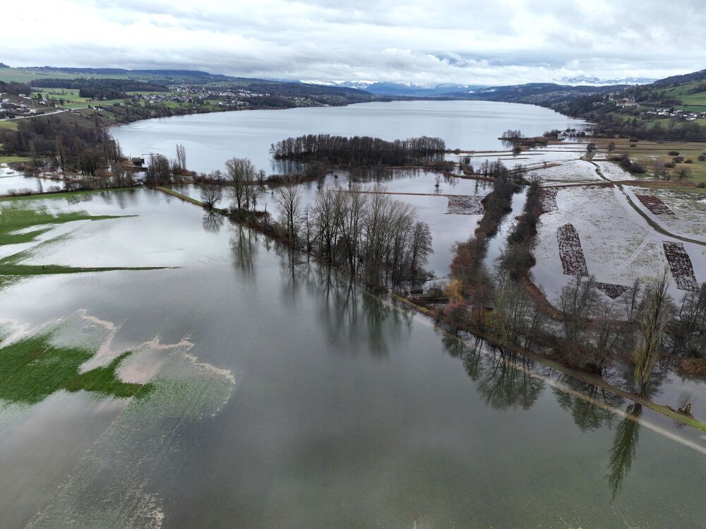 Intensive Regenfälle, kombiniert mit einer Schneeschmelze liessen die Pegel der Flüsse und Seen ansteigen. Am nördlichen Ende des Hallwilersees führte diese Situation zu Überschwemmungen -  am 12. Dezember über Seengen AG fotografiert. (Fotos: Andreas Walker)